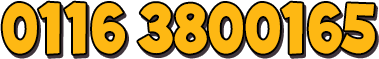 0116 3800 275